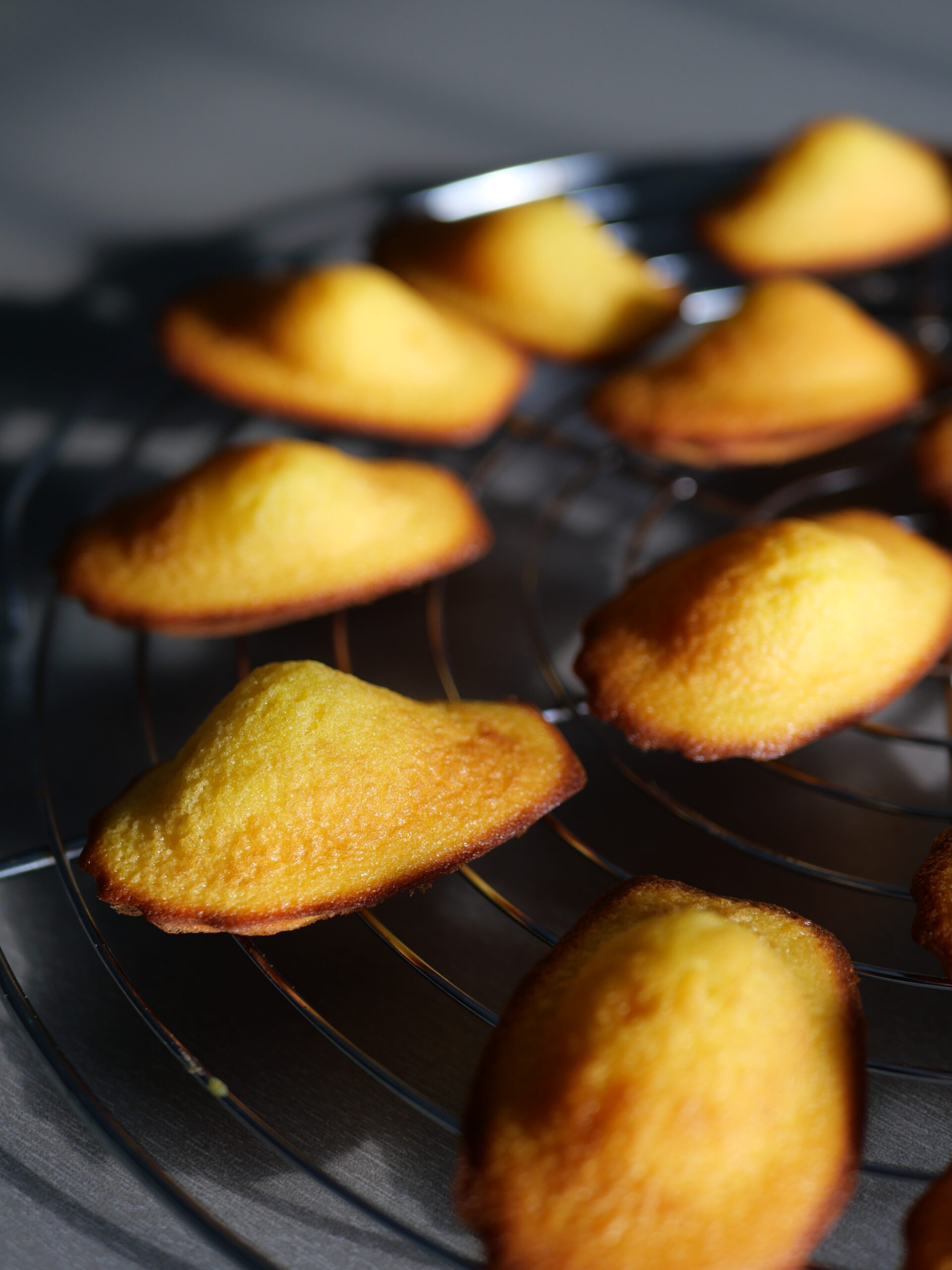 madeleines