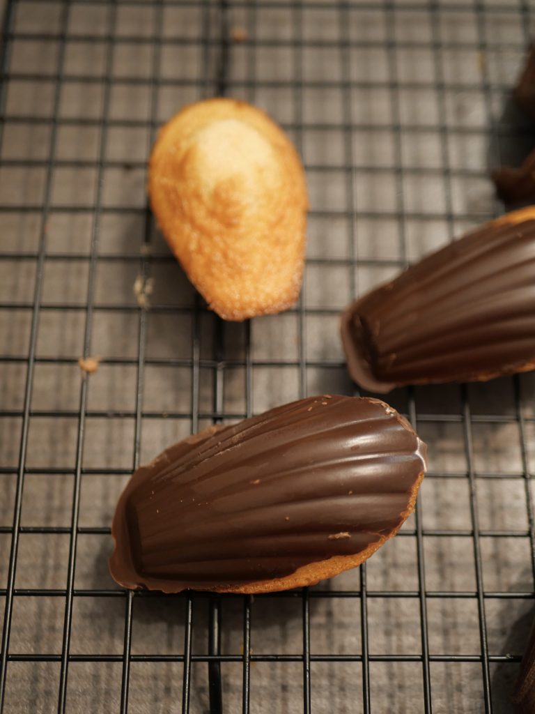 madeleine coque chocolat