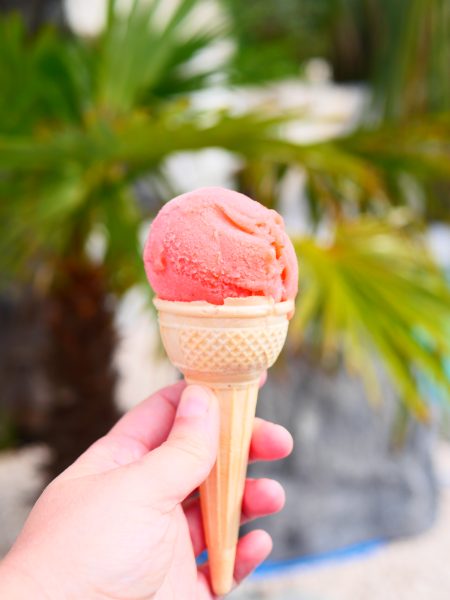 sorbet à la fraise maison - dans la cuisine d'anais