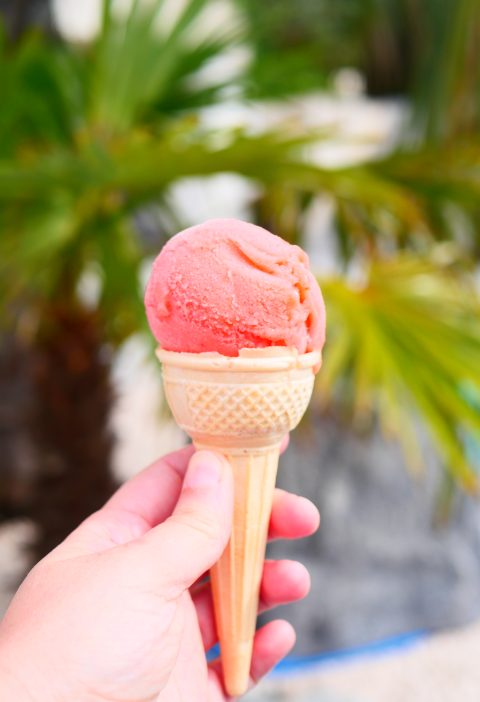 sorbet à la fraise maison - dans la cuisine d'anais