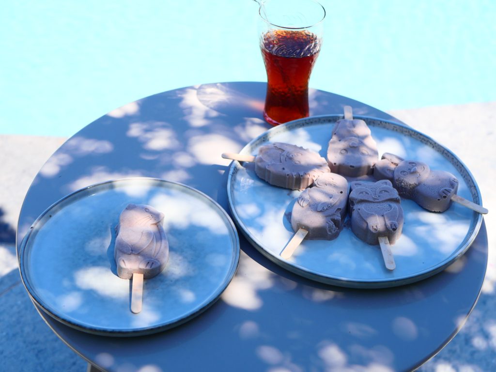 glace Oreo maison - dans la cuisine d'anais