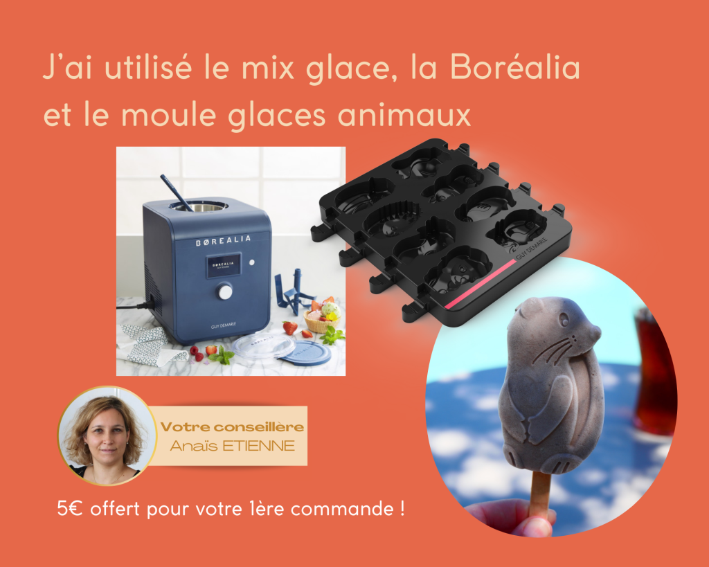 moule glace animaux - dans la cuisine d'anais